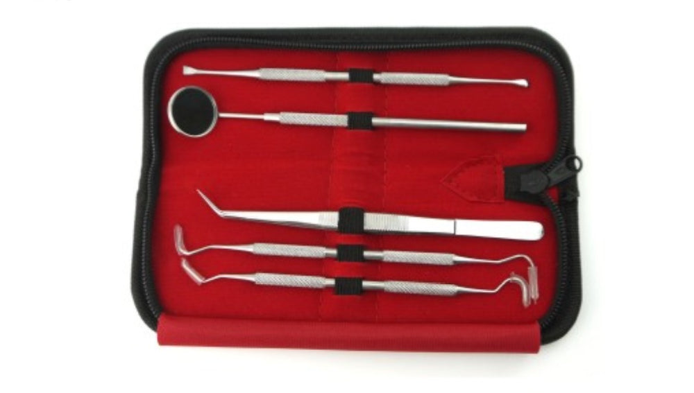 Dental Training Kit