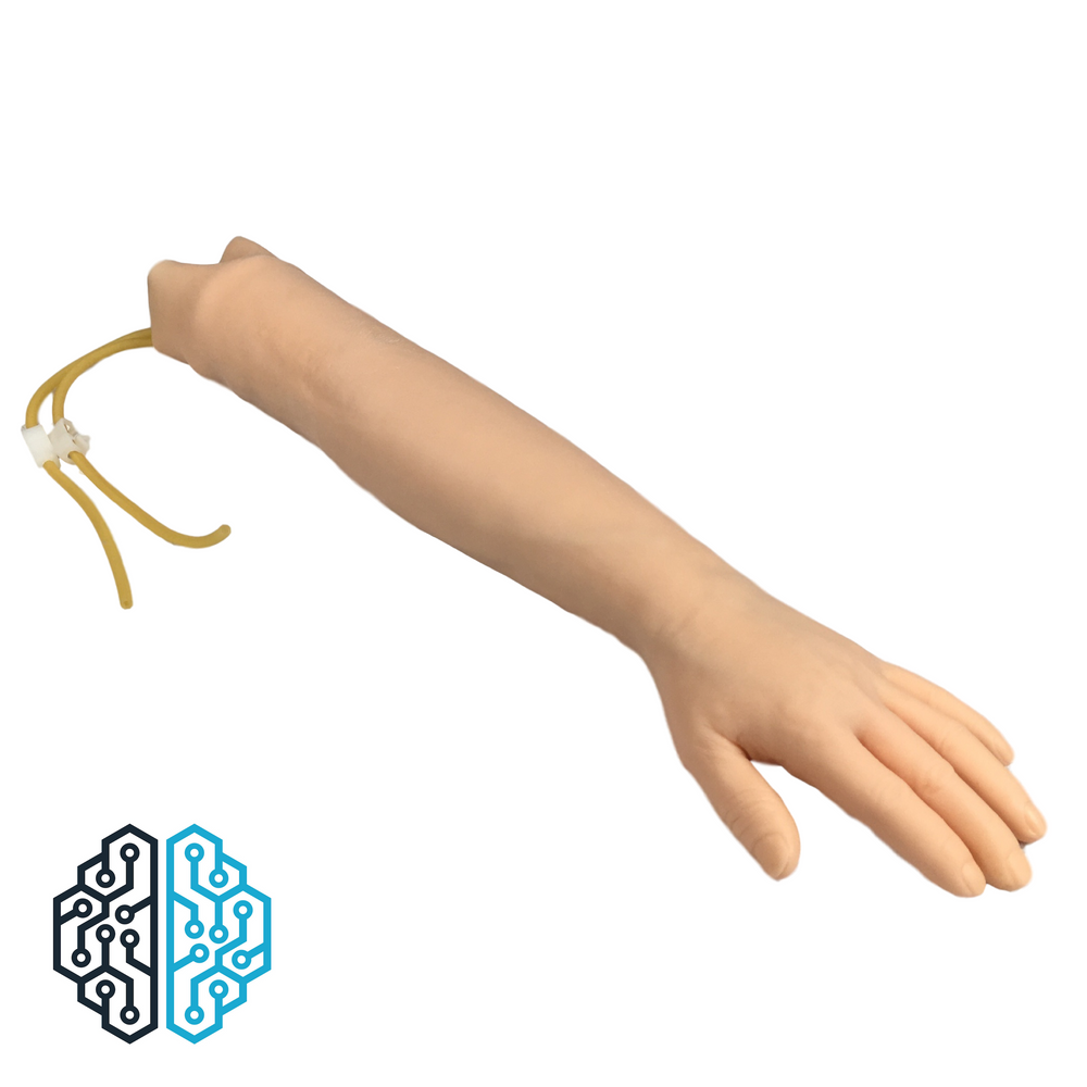 IV & Phlebotomy Training Arm Model